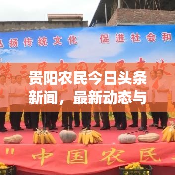 贵阳农民今日头条新闻，最新动态与热点事件揭秘