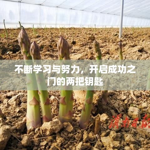 飞燕化龙 第2页