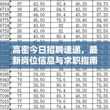 高密今日招聘速递，最新岗位信息与求职指南