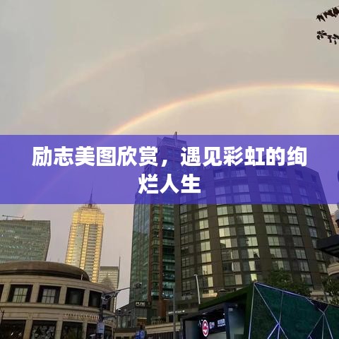 橘虞初梦 第2页
