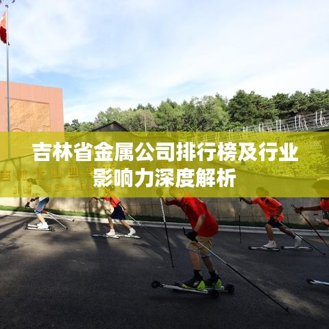 吉林省金属公司排行榜及行业影响力深度解析