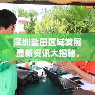 深圳盐田区域发展最新资讯大揭秘，新闻头条传递最新动态