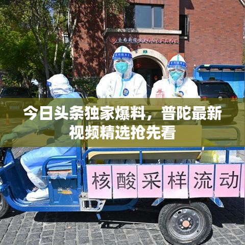 今日头条独家爆料，普陀最新视频精选抢先看