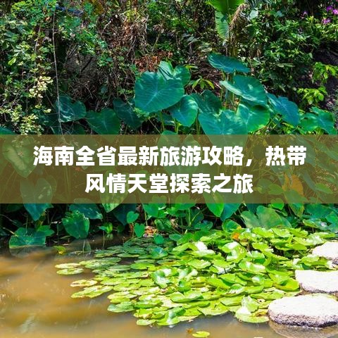海南全省最新旅游攻略，热带风情天堂探索之旅