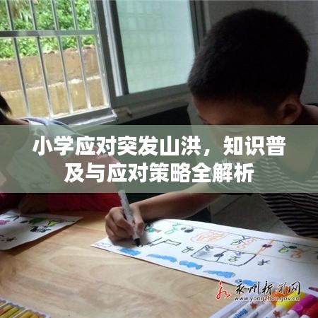 小学应对突发山洪，知识普及与应对策略全解析