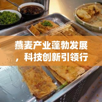 燕麦产业蓬勃发展，科技创新引领行业前沿——燕麦市最新头条新闻