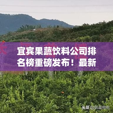 宜宾果蔬饮料公司排名榜重磅发布！最新排名榜单揭晓！