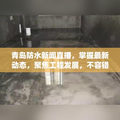 青岛防水新闻直播，掌握最新动态，聚焦工程发展，不容错过！