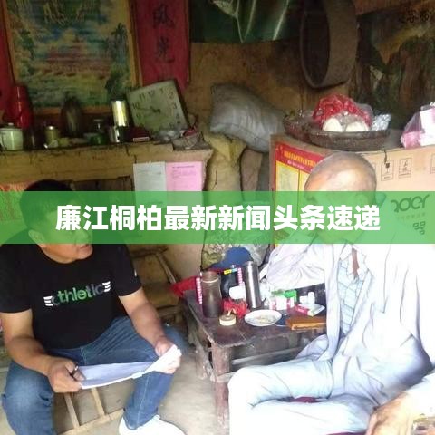 廉江桐柏最新新闻头条速递