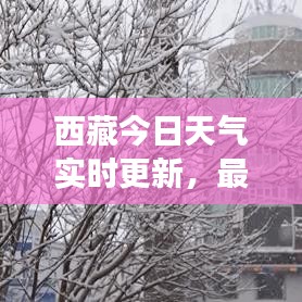 西藏今日天气实时更新，最新气象报告出炉