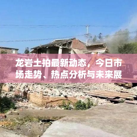 龙岩土拍最新动态，今日市场走势、热点分析与未来展望