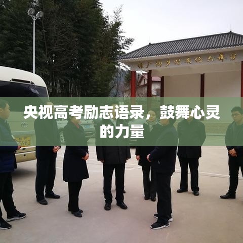 富贵有余 第2页