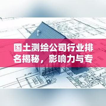 国土测绘公司行业排名揭秘，影响力与专业性并重