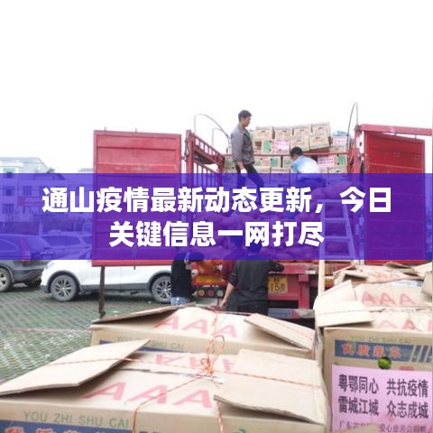 通山疫情最新动态更新，今日关键信息一网打尽