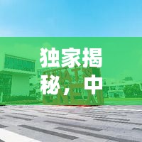 独家揭秘，中国高等教育新机遇——最新高校攻略共创指南