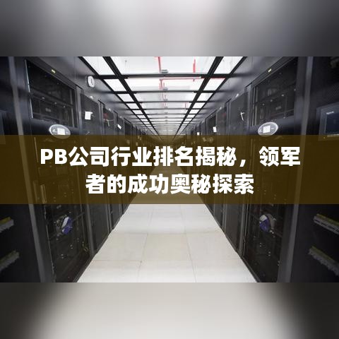 PB公司行业排名揭秘，领军者的成功奥秘探索