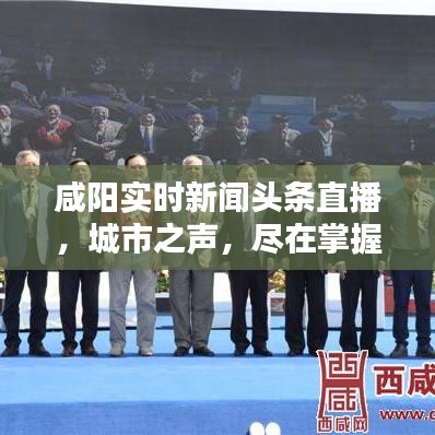 花开无言 第2页