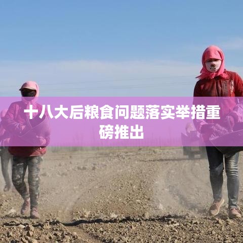 十八大后粮食问题落实举措重磅推出