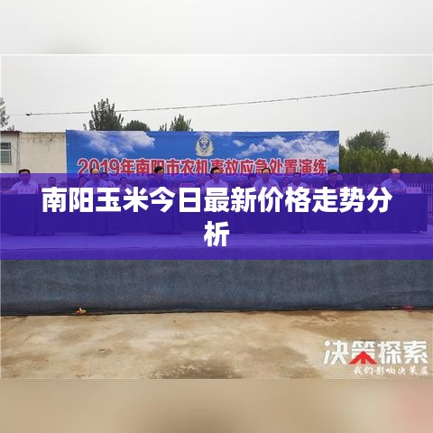 物稀为贵 第2页