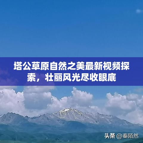 塔公草原自然之美最新视频探索，壮丽风光尽收眼底