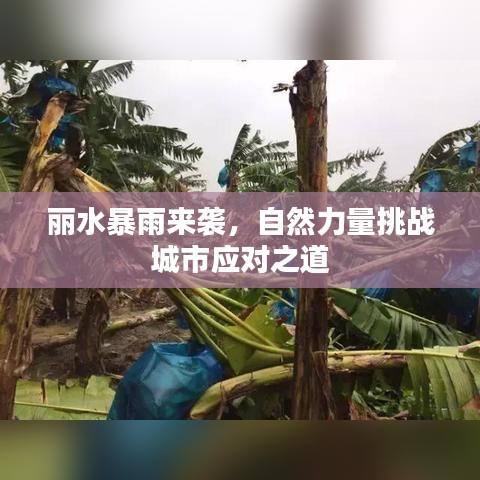 丽水暴雨来袭，自然力量挑战城市应对之道