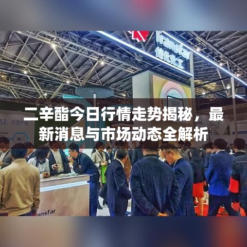 二辛酯今日行情走势揭秘，最新消息与市场动态全解析