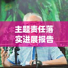 主题责任落实进展报告，深度剖析与成效展示