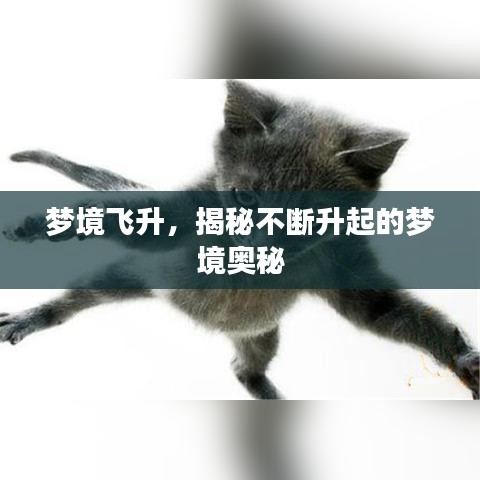 梦境飞升，揭秘不断升起的梦境奥秘