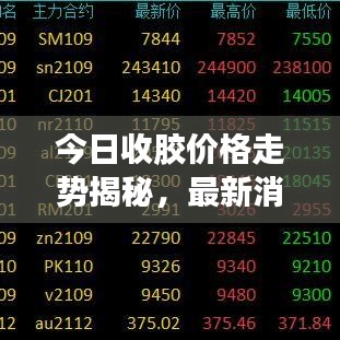 今日收胶价格走势揭秘，最新消息、市场动态与未来趋势深度解析