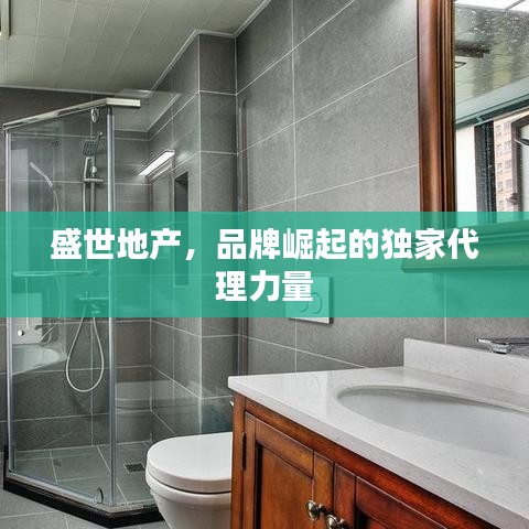 盛世地产，品牌崛起的独家代理力量