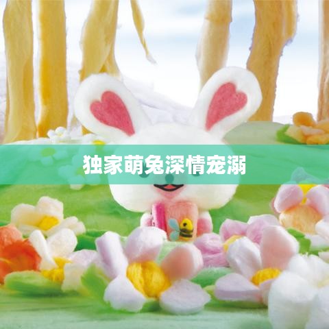 独家萌兔深情宠溺