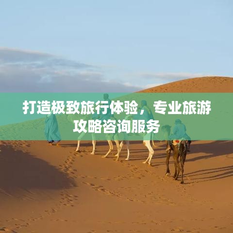 打造极致旅行体验，专业旅游攻略咨询服务
