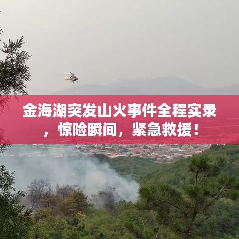 金海湖突发山火事件全程实录，惊险瞬间，紧急救援！