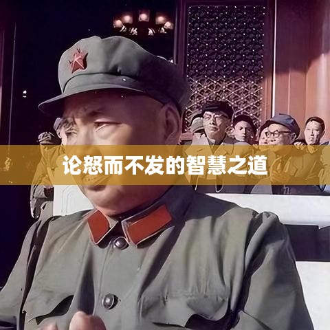 纲举目张