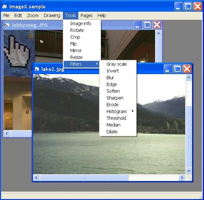 imagex官方下载,实地验证分析_Windows1_v4.287