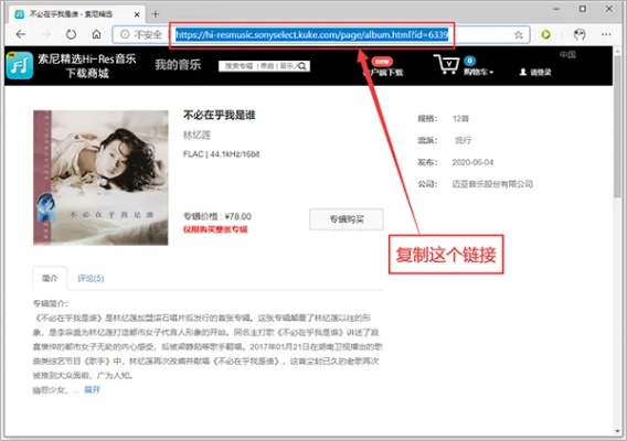 musictool官方下载及传奇手游隐藏称号,数据分析引导决策-tShop_v2.293
