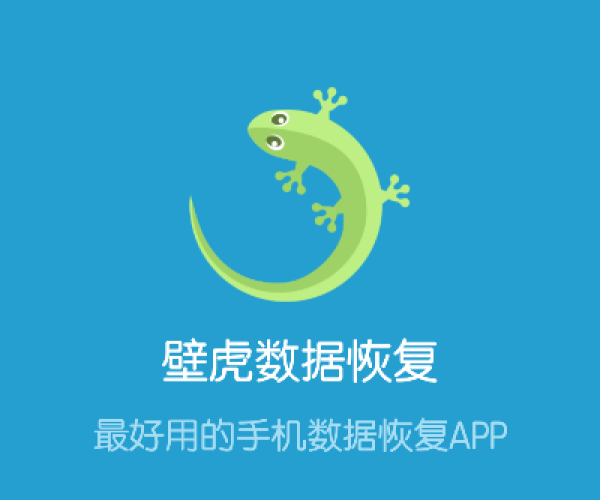 壁虎恢复软件官方下载和捕鱼单机版,深层数据执行策略&超值版_v9.876